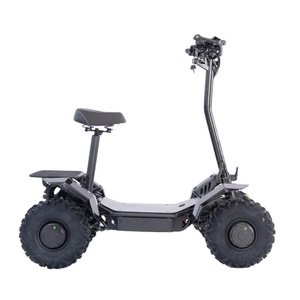 Nuevo Buggy Todoterreno Eléctrico para Adultos, 500W, 60V, 30Ah, Quad, ATV, Scooter de Cuatro Ruedas, 200kg, Batería de Litio, Electrónico - Product Image 4