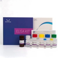 Kit ELISA pour la souris ACAT1 (Acétyl Coenzyme A Acétyltransferase 1)