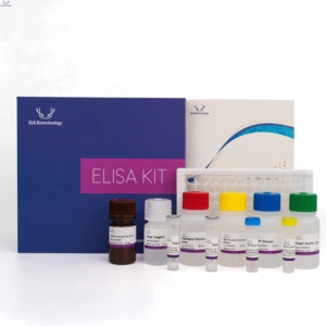 Kit ELISA para SLC26A5 (<span class=keywords><strong>Prestin</strong></span>) Humano - Product Image 6
