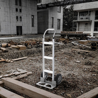 Carretilla de Plataforma Industrial de Dos Ruedas de Aleación de Aluminio Tiger para Obras de Construcción, Almacenes y Transporte Manual