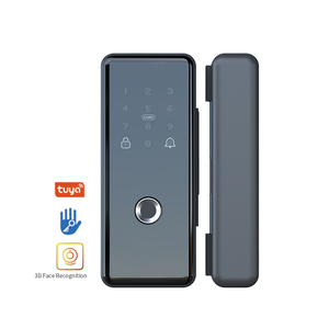 Office Smart Tuya TTlock <strong>3D</strong> Face &amp; <strong>Fingerprint</strong> Recognition Automatic WiFi Card Password &amp; Remote <strong>Unlock</strong> for Glass Door Lock - Product Image 6