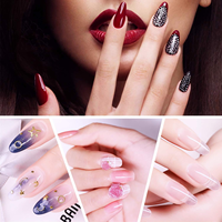 Kit professionnel d'ongles en acrylique avec poudre acrylique, monomère liquide, pinceau à ongles, moules et kit d'entraînement pour débutants, extension d'ongles DIY