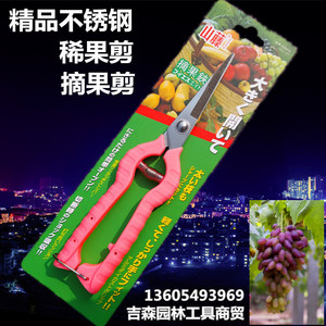 Sécateur de taille pour glycine de montagne de Taïwan 62, tête droite, en acier inoxydable, design papillon, pour la taille des vigne fruitières - Product Image 4