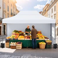 Tente de réception de mariage en plein air pliable et portable sur mesure 3x6m, tente de marché, auvent avec cadre durable à vendre