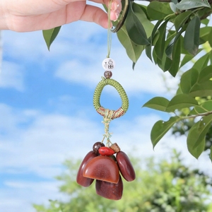 Wholesale Handmade Lucky Fu Bead Plant Fruit Shell Hanging Decor <b>Wind</b> <b>Chime</b> Pendant Ethnic Folk Handicraft Key Accessories - Product Image 5