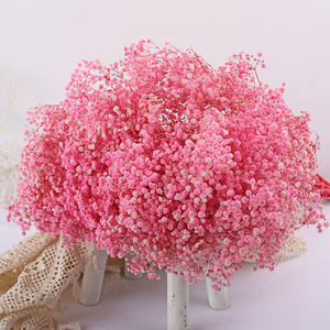 120g 400g bébé souffle fleur fleurs séchées pour la décoration gypsophile <span class=keywords><strong>toujours</strong></span> vivant fleur bébé souffle séché gypsophile coloré - Product Image 2