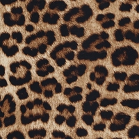 Film de transfert à l'eau motif zèbre marron écologique pour branches de lunettes, chaussures, vêtements et accessoires – Adhérence durable et stable