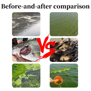 Chine usine approvisionnement 98% TMAO additif alimentaire pour l'aquaculture pour le poisson crevettes anguille saumon - Product Image 4