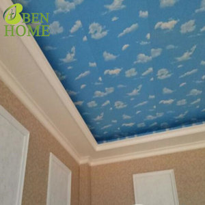 Factory Supplier Blue Sky <strong>Plastic</strong> <strong>Roof</strong> Wall Panel Decoration Pvc Ceiling for Eave - Product Image 1