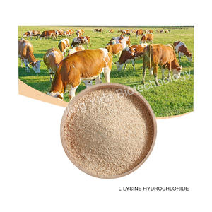 L-Lisina HCl Grado Alimenticio, <span class=keywords><strong>Amino</strong></span>ácido para Aves de Corral y Cerdos, Aditivo para Alimentos para Animales, Bolsa de 25 kg, Marca Meihua - Product Image 4