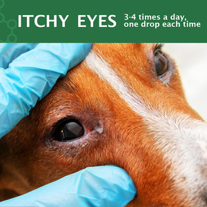 Tratamiento de infección ocular para perros recomendado por veterinarios OEM para calmar infecciones alergias aliviar los ojos secos ojos rosados limpiador de manchas de lágrimas para mascotas - Product Image 4