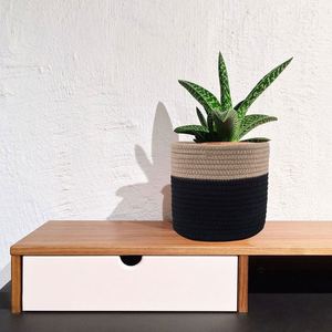 Treo Treo Trồng Treo Đu Hai Tiered Dệt Giỏ Mây Lưu Trữ Giỏ Hộp Nhật Bản Tường Trang Trí Moss Lót Placemat - Product Image 3