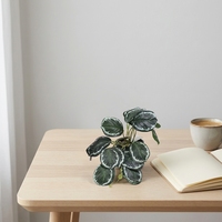Plante Artificielle en Pot, Petite Plante Artificielle Verte en Pot pour la Maison, le Bureau, la Table, Décoration Nordique, Écologique, Plantes Artificielles