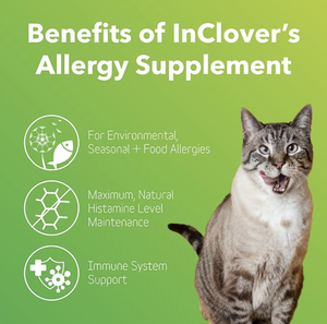 Poudre anti-<span class=keywords><strong>allergie</strong></span> pour chiens et chats, pour peaux irritées, au colostrum, quercétine et probiotiques, complément immunitaire pour animaux de compagnie, marque privée OEM ODM - Product Image 2