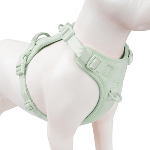 Harnais pour chien Perro : Accessoires pour animaux de compagnie personnalisables, harnais anti-traction et laisse pour chien - Product Image 1
