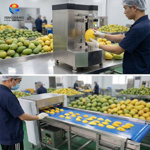 Machine automatique de pelage et de découpe de mangues, équipement de traitement de fruits à grande vitesse, moteur en acier inoxydable 304 - Product Image 6
