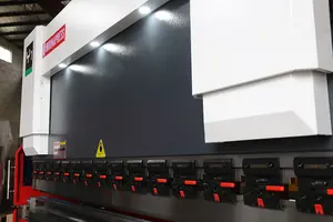 Prensa plegadora hidráulica CNC 80T/100T/125T, prensa plegadora hidráulica con sistema Delem DA53T en Rusia