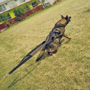 Kingtale-<span class=keywords><strong>Harnais</strong></span> de musculation pour grands chiens de travail <span class=keywords><strong>Harnais</strong></span> d'entraînement pour animaux de compagnie - Product Image 4