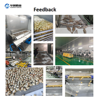 Congelador Industrial HRTY de Gran Capacidad Tipo Túnel para Congelación Rápida Instantánea de Pasta y Productos Acuáticos
