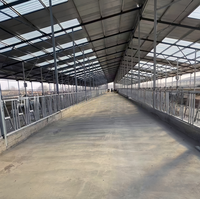 Bâtiment en structure métallique lourde Zhongyue pour élevage avicole et atelier en acier avec une durée de vie de 50 ans