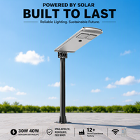 Lampe solaire LED tout-en-un 30W en aluminium étanche IP65 avec contrôleur MPPT certifié RoHS pour usage routier extérieur