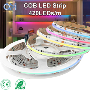 Tira de LED COB Flexible y Colorida Raymates con Certificación UL, 24v, IP20, Direccionable, 420 LED, Ws2811 RGB Pixel - Product Image 1