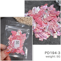 Paillettes de coquille d'aréole 5G Aurora, breloques pour ongles, tranches irrégulières 3D, pierres de coquille, sequins, décoration d'ongles, accessoire de manucure DIY