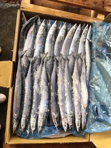 Rond entier Pacific <span class=keywords><strong>Saury</strong></span> congelé de bonne qualité - Product Image 6