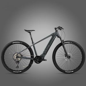 <span class=keywords><strong>Em5</strong></span> 29 pouces aluminium 12 vitesses Bafang Mid-Mounted M510 Digital Lithium Battery Electric City Bike Brushless Motor for Urban Riding - Product Image 1