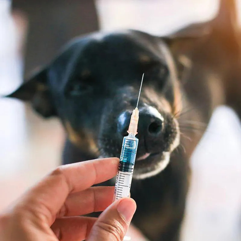 Seringue jetable médicale de 1ml 3ml 5ml 10ml 20ml 50ml avec l'aiguille pour la CE d'utilisation de seringue humaine et vétérinaire approuvée