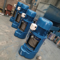 Palans électriques mobiles à câble pour levage de matériaux 3m 6m 9m 12m 500 kg 3t