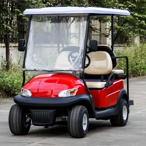 2023 Newest Hot Sale Cheap 2 Seats Gas Powered Golf /Buggy Carts Price