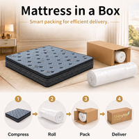 Matelas Orthopédique Queen/King Size en Latex Naturel avec Surmatelas Euro et Ressorts Ensachés Compressé pour Mobilier de Chambre