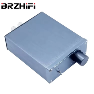 Amply kỹ thuật số BRZHIFI AUDIO PAD-100B, model âm thanh vòm <span class=keywords><strong>mini</strong></span> HIFI, chất lượng âm thanh cao, amply gia đình - Product Image 3