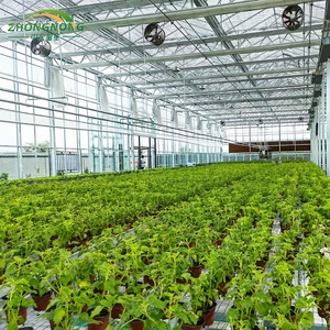 Kit de Estufa Grande de PE com Dupla Camada, Totalmente Automatizada, para Cultivo Tropical em Clima Quente, Estufa Arqueada de Aço Galvanizado - Product Image 1