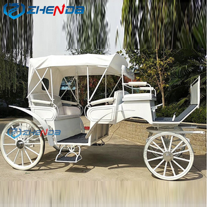 Popular Carruaje Eléctrico Clásico Real Blanco para Turismo/Vehículo Eléctrico de Viaje, Carrozas de Caballos en Venta - Product Image 2