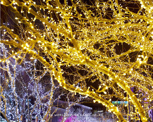 Guirlandes lumineuses LED d'extérieur 3M/10M/20M/50M/100M, style arbre, pour décorations <span class=keywords><strong>de</strong></span> Noël, mariages, fêtes et maison - Product Image 2