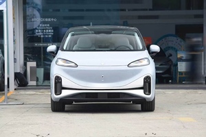 Auto Usata Arctic Fox Koala 2023 Veicolo Elettrico Familiare Professionale 401-500km NEDC Autonomia Ridotta 35000km Guida a Sinistra - Product Image 2