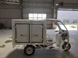 Hot Selling 800W Dreirad Motorrad Open Body Typ Frozen Cabin Kühlschrank Dreirad für Eis Lieferung zu einem Preis