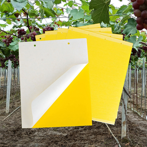 Piège collant jaune solide double face étanche pour le contrôle des ravageurs <span class=keywords><strong>de</strong></span> jardin courants - Product Image 1