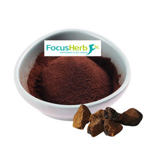 FocusHerb Entrepôt US, Produits en Stock, Poudre de Champignon, Extrait de Chaga Biologique, 30% de Polysaccharides - Product Image 2