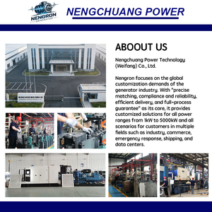 Nengron 70kW para Granjas Ganaderas y Avícolas con Certificación SONCAP, 70kW de Alta Eficiencia, Opera con 99% de Eficiencia - Product Image 6