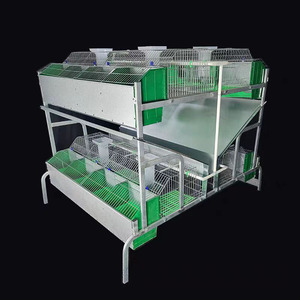 Jaulas para Conejos Industriales de Buena Calidad Estilo Europeo para Uso Comercial - Product Image 4