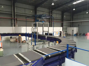 Küçük ürün küçük öğeler için dar çapraz bant konveyör verimli sıralama sistemi sıralama - Product Image 6