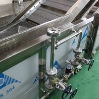 Frietjes Was-En Blancheermachine Voor De Groente-En Fruitverwerkende Industrie