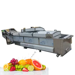 Vegetables blanching and cooling a fruit blanching machine function price in pakistan