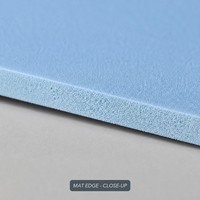 Kit de Pilates Antidérapant de Haute Qualité 4 Pièces avec Tapis, Haltères, Bande de Résistance et Poids de Cheville – Fournisseur en Gros