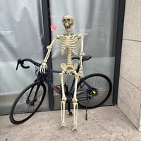 Article phare 2026 : Décoration de fête d'Halloween – Squelette en plastique articulé pour la vente en gros