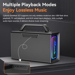 Máquina de Karaoke Portátil Profesional X21 de 200 W con Mezclador de Sonido, 2 Micrófonos UHF y Espectáculo de Luces RGB Dinámicas - Product Image 6