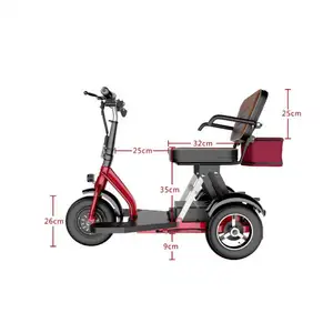 Tricicli forniscono diferentziale remoto alimentare costruzione adatto elettrico importato Volant adulto due Aferica giroscopio triciclo